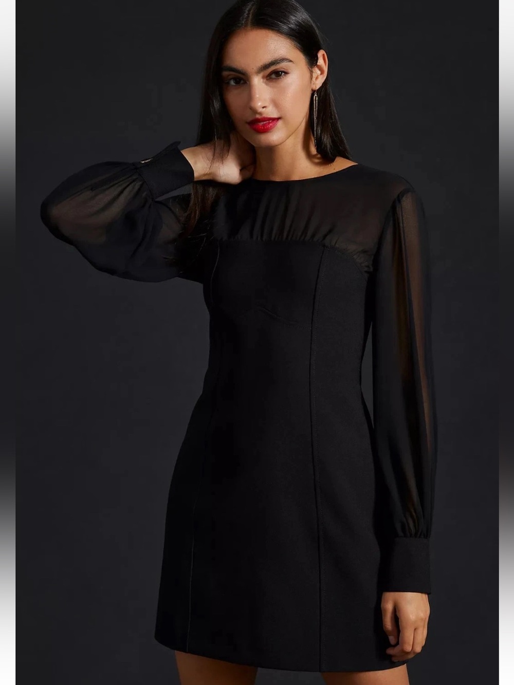 Anthropologie Black Mini Dress with Sheer Long Sleeves